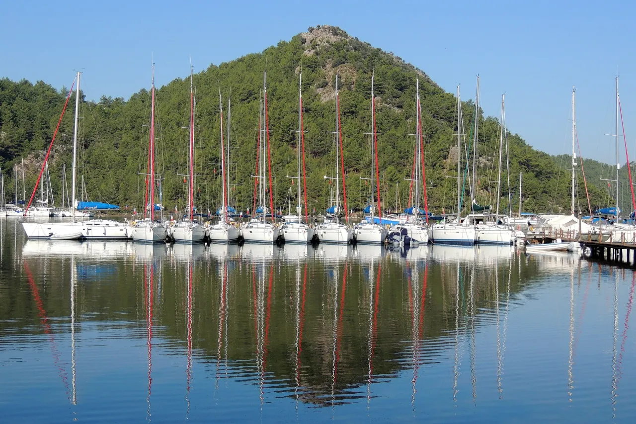 Martı Marin transfer