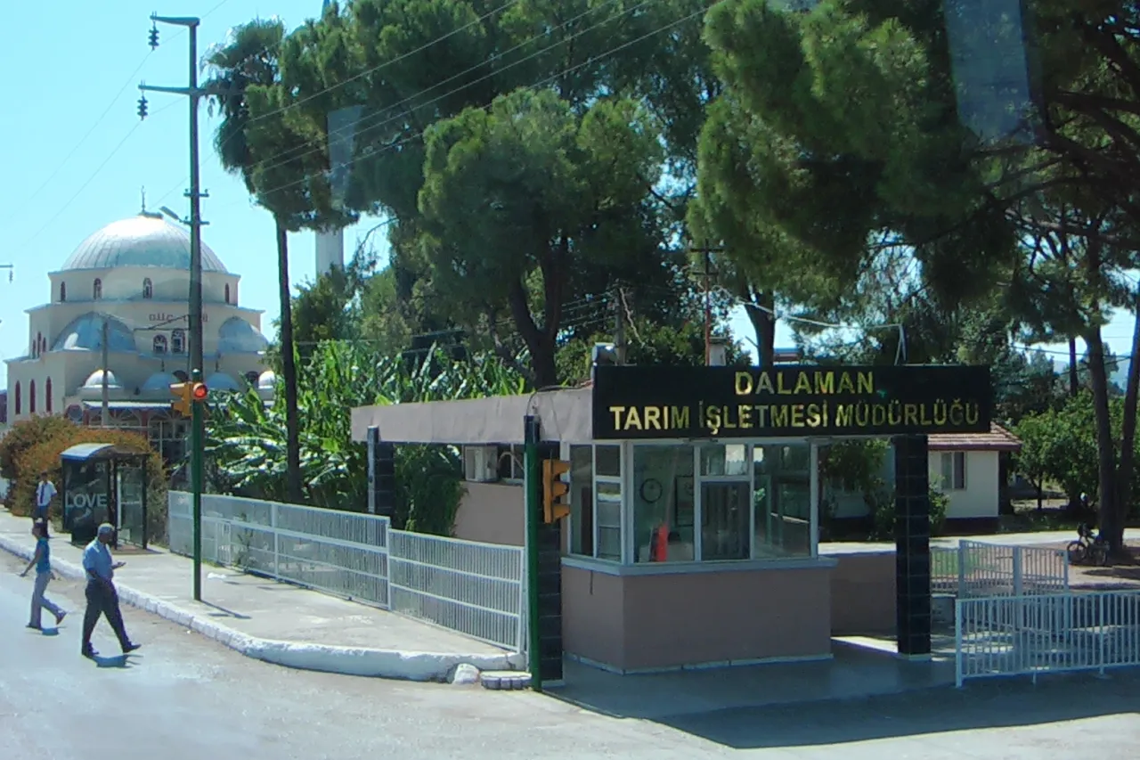 Dalaman Town transfer